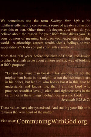 Staking Your Life (Back cover)
